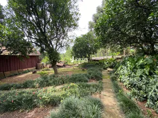 Área rural, foto 42