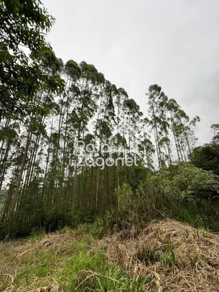 Área rural, foto 2