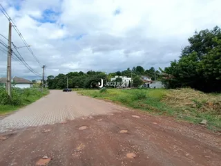Vista da estrada de acesso à propriedade em Lajeado.