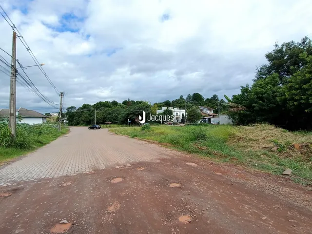 Vista da estrada de acesso à propriedade em Lajeado.