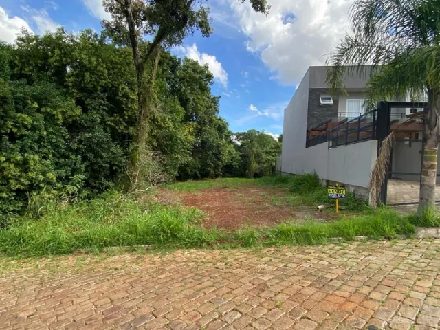 Terreno