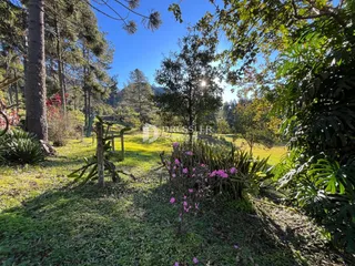 Área rural com 4 dormitórios, foto 26