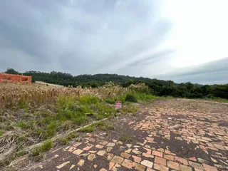 Terreno, foto 2