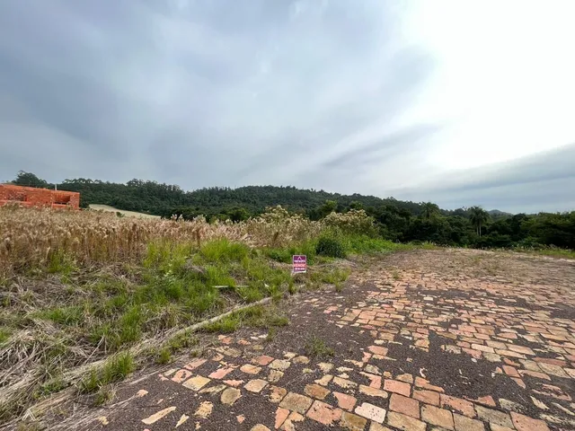 Terreno, foto 2