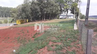 Área rural, foto 6
