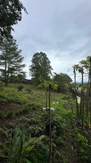 Casa com 3 dormitórios, foto 25