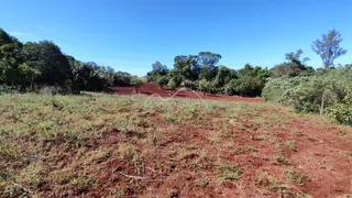Paisagem de campo com vegetação seca e solo avermelhado sob um céu azul.