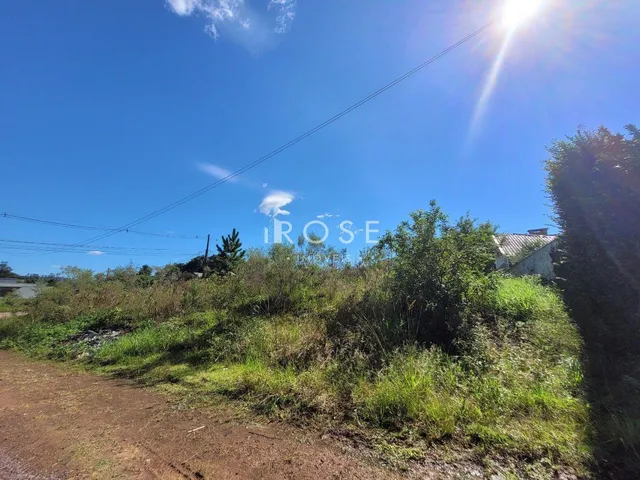 Terreno, foto 2