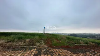 Terreno, foto 7