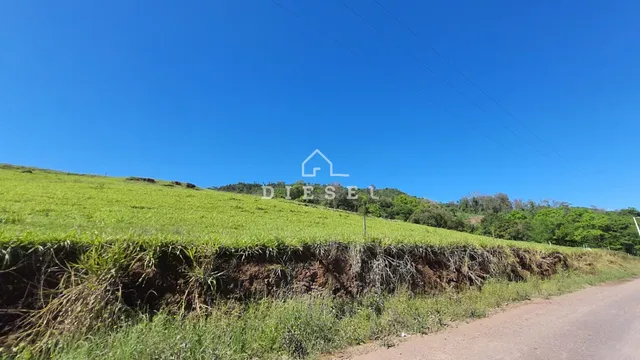 Vista de uma colina verde com vegetação rasteira e uma estrada de terra no primeiro plano.