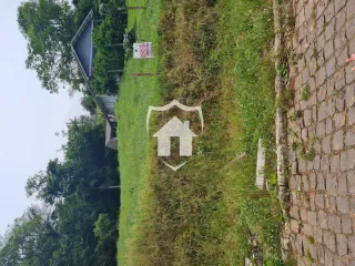 Terreno, foto 13