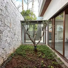 Parede de pedra rústica com vegetação na fachada da propriedade.
