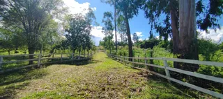 Área rural com 5 dormitórios, foto 13