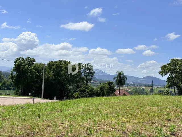 Terreno, foto 4