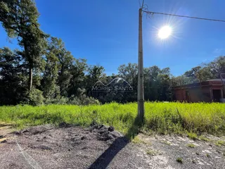 Terreno, foto 3