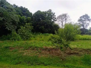 Área rural, foto 7