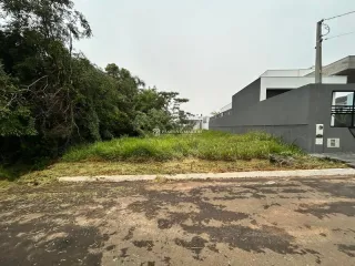 Terreno, foto 1