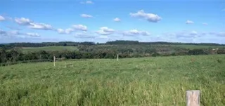 Terreno, foto 5