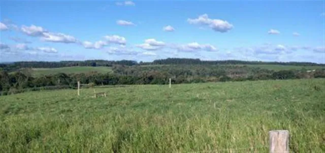 Terreno, foto 5