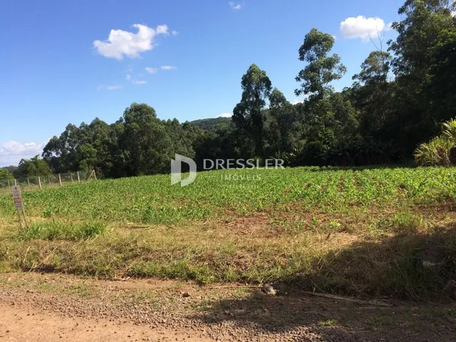 Área rural, foto 4