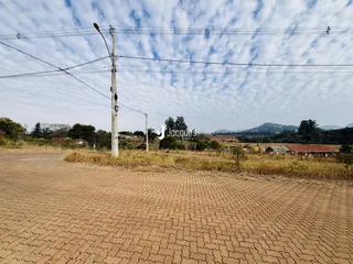Paisagem de campo com vegetação seca e uma estrada de terra no primeiro plano.