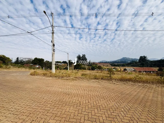 Paisagem de campo com vegetação seca e uma estrada de terra no primeiro plano.