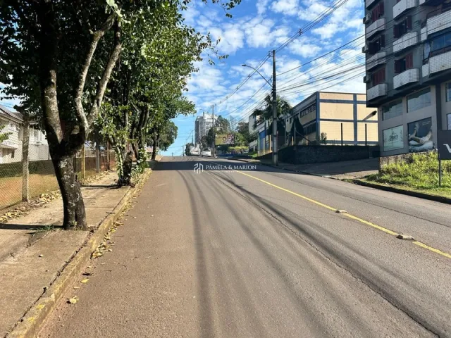Vista de uma rua asfaltada com árvores ao lado em Lajeado.