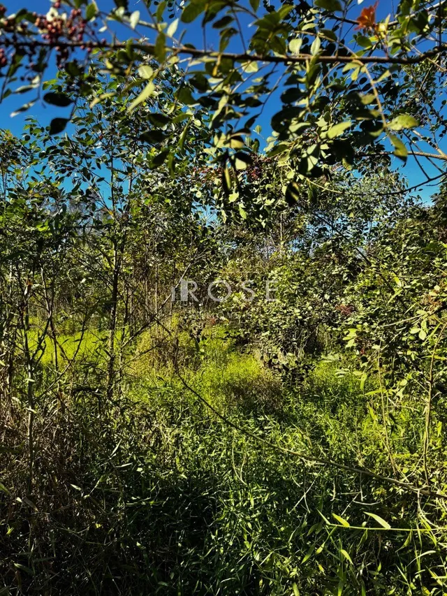 Área rural, foto 2