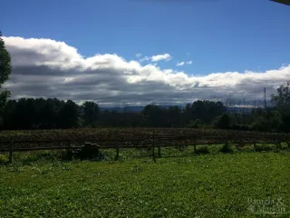 Área rural com 2 dormitórios, foto 6
