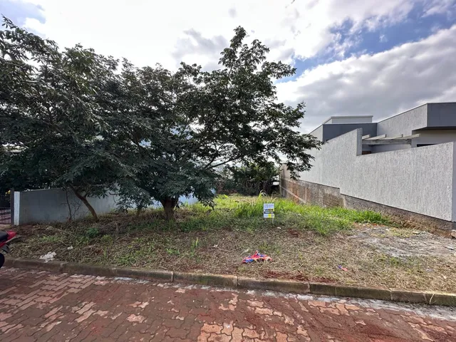 Vista externa mostrando árvores e um muro de contenção em uma propriedade.