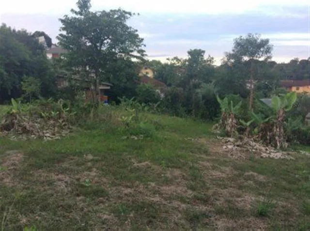 Terreno