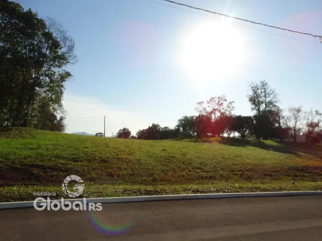 Paisagem de colina verde com árvores ao fundo sob um céu claro.