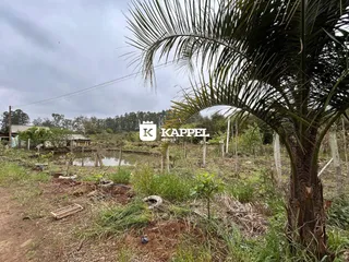 Terreno, foto 25