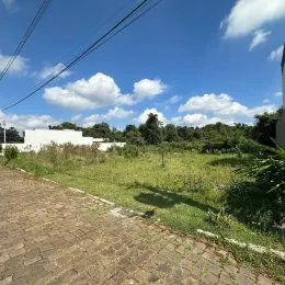 Foto externa mostrando um terreno com vegetação e área pavimentada.