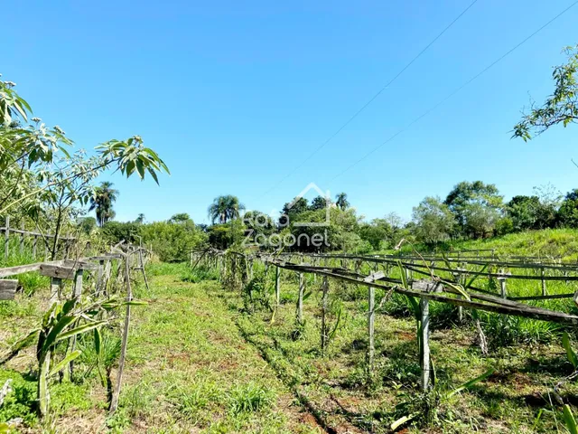 Área rural com 3 dormitórios, foto 4