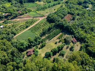 Área rural com 4 dormitórios, foto 53