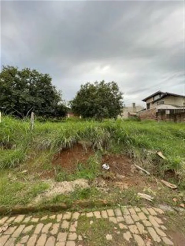 Terreno, foto 2