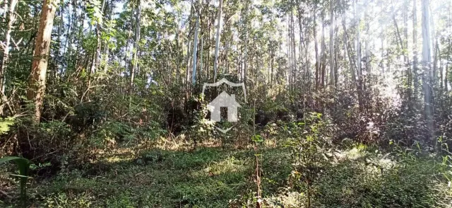 Área rural, foto 3