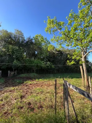 Área rural com 2 dormitórios, foto 11