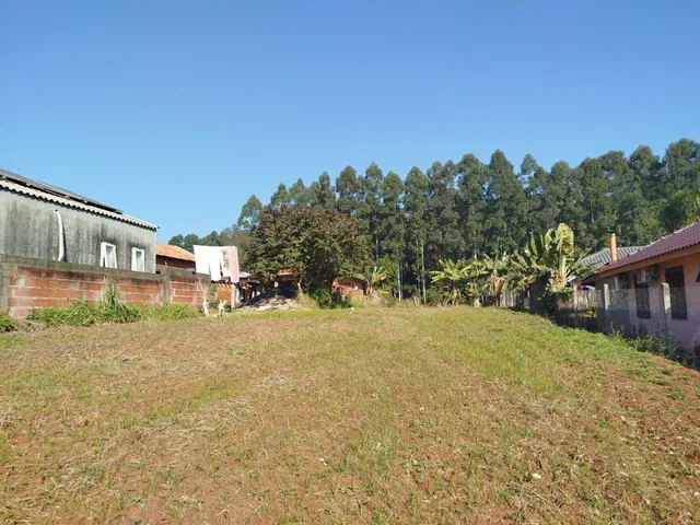 Terreno, foto 3