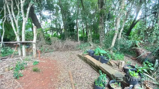 Área rural com 3 dormitórios, foto 2