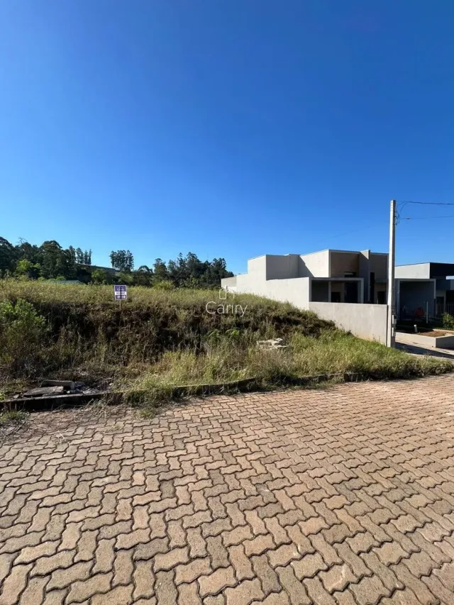 Terreno, foto 2