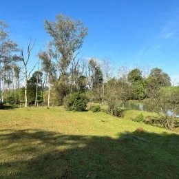 Vista de um gramado com árvores no fundo.