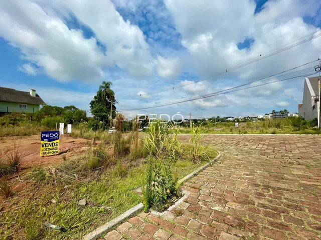 Terreno, foto 2