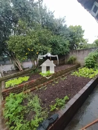 Terreno, foto 19