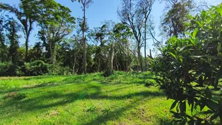 Terreno, foto 3