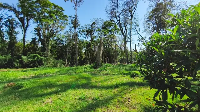 Terreno, foto 3