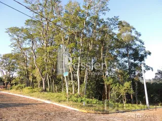 Terreno, foto 1