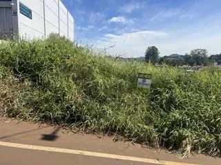 Terreno, foto 3