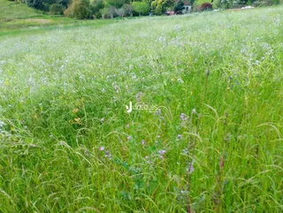 Área rural, foto 8